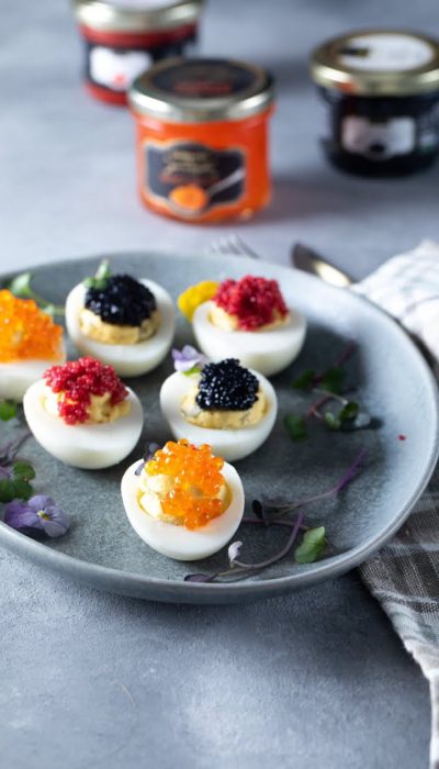 dardanel113 dardanel113