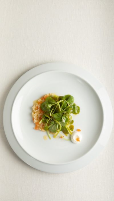 T.C Cumhurbaşkanlığı Asırlık Tariflerle Türk Mutfağı (13) T.C Cumhurbaşkanlığı Asırlık Tariflerle Türk Mutfağı (13)